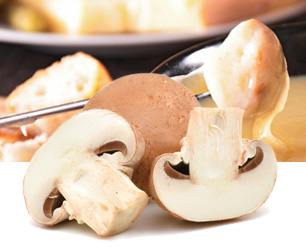 Recette aux Champignons